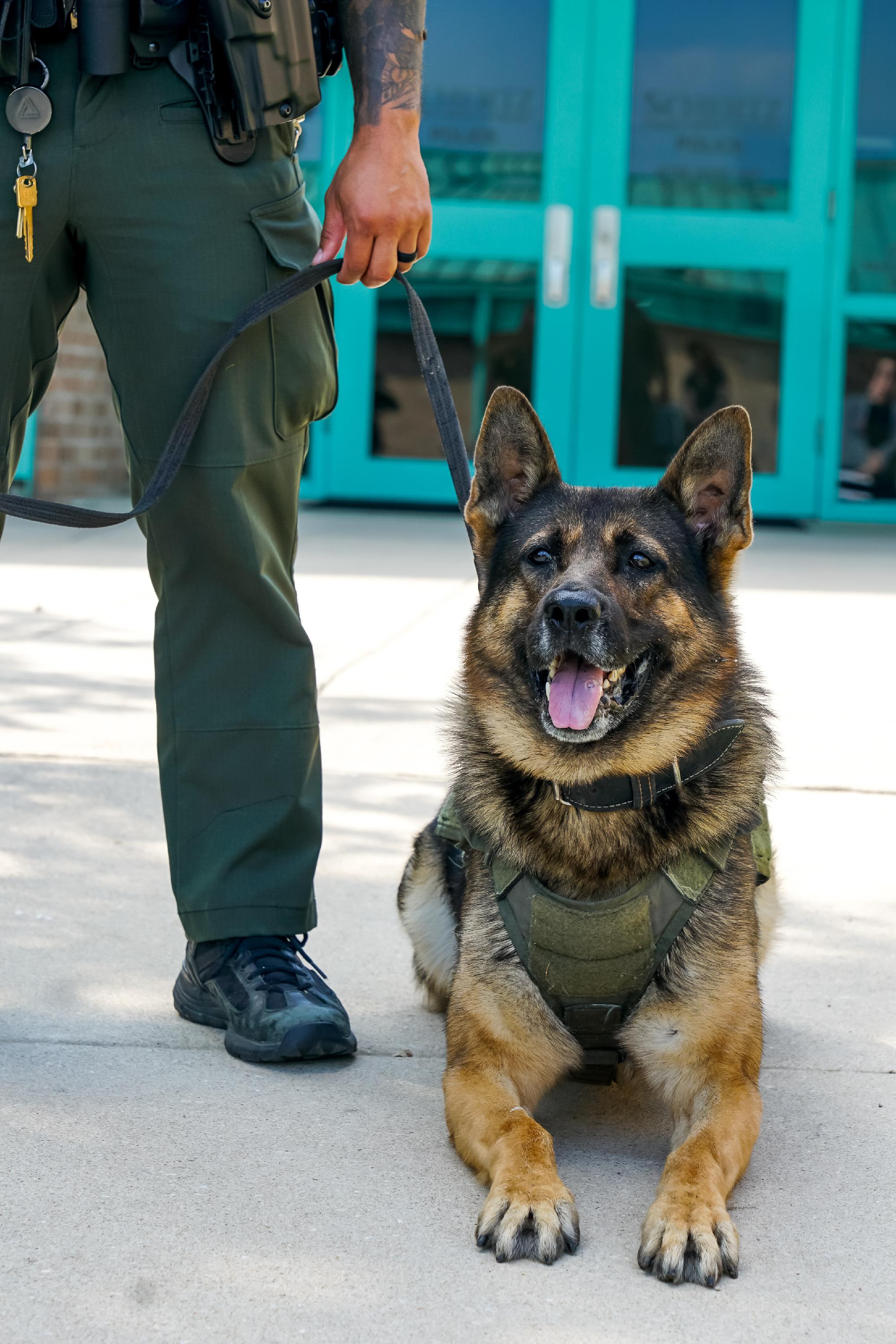 K-9 Sharik